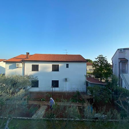 Apartman Milka Novigrad  Екстер'єр фото